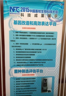 北京科為博生物集團助力中國畜牧生物科技大會，引領生物飼料研發(fā)新篇章
