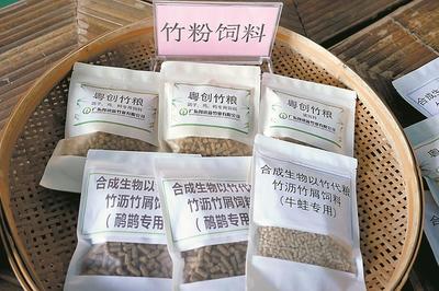 清遠英德西牛鎮(zhèn) 打造“以竹代塑”“以竹代糧”綠色產(chǎn)業(yè)，推動生物飼料研發(fā)
