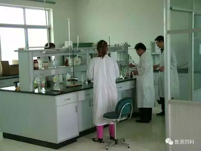 《蛋雞福星》預混料 網(wǎng)絡直銷助力高效養(yǎng)殖，生物科技引領健康新篇